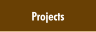 Projects